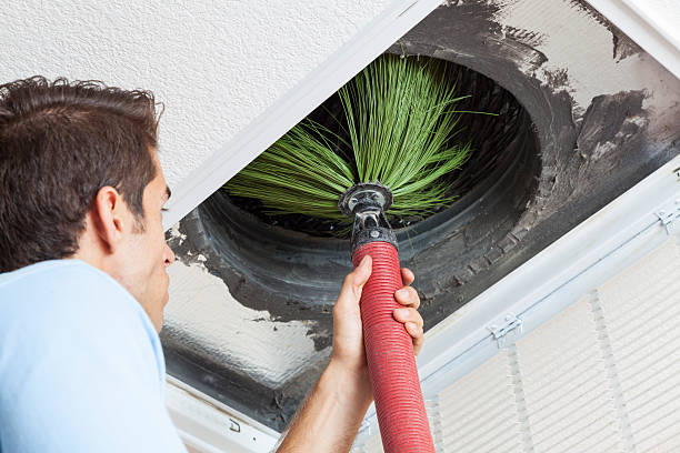 Best Air Duct Sanitizing Services  in Mulino, OR